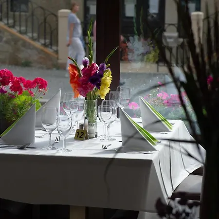 Otel Richard & Wellness