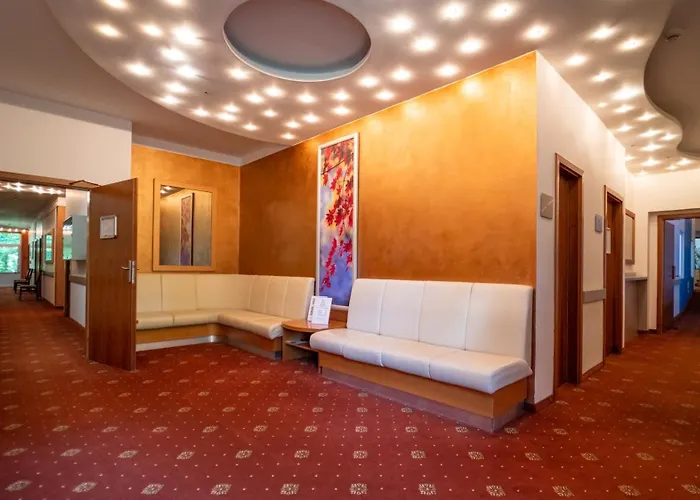 Richard & Wellness מלון 4*