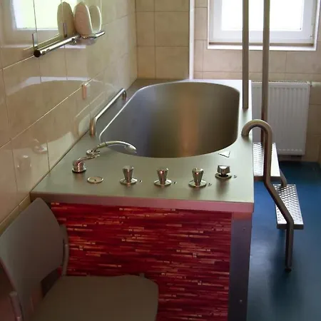 Richard & Wellness 4* Marianske Lazne