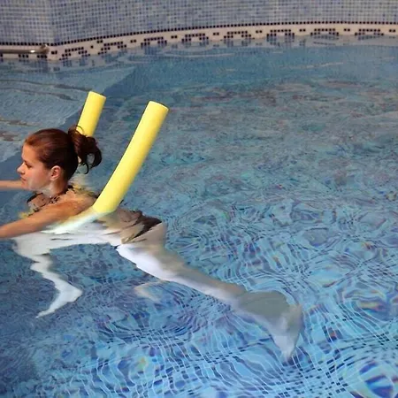 酒店 Richard & Wellness 4*