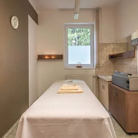 酒店 Richard & Wellness 4*