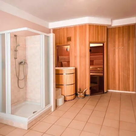 Richard & Wellness 酒店 4*